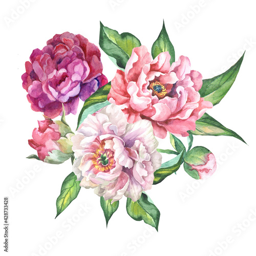 bouquet of pink peonies.watercolor