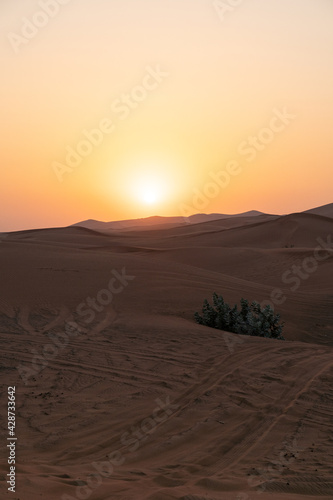 Landscape of desert dunes at sunset