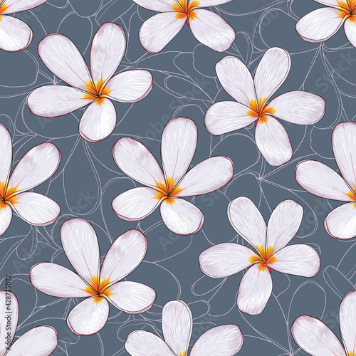 Seamless pattern floral with Frangipani flowers abstract background.Vector illustration hand drawn line art.fabric textile print design