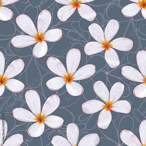 Seamless pattern floral with Frangipani flowers abstract background.Vector illustration hand drawn line art.fabric textile print design