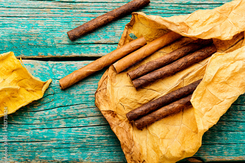 Obraz na plátně Group cigars and tobacco leaves
