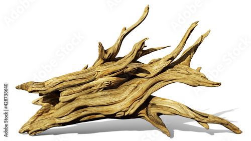 driftwood, old and dry trunk isolated on white background