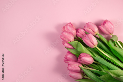 Fototapeta Naklejka Na Ścianę i Meble -  Pink tulips flowers on pink background. Card for Mothers day, 8 March, Happy Easter, Valentines Day, Birthday. Waiting for spring. Greeting card. Flat lay, top view, Copy space for text