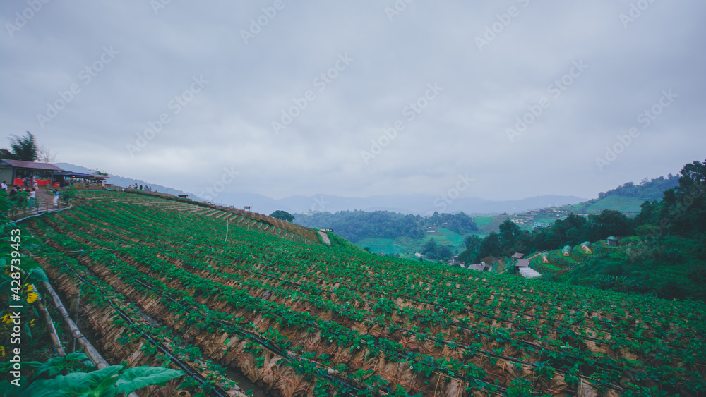 Obraz premium Nature travel.