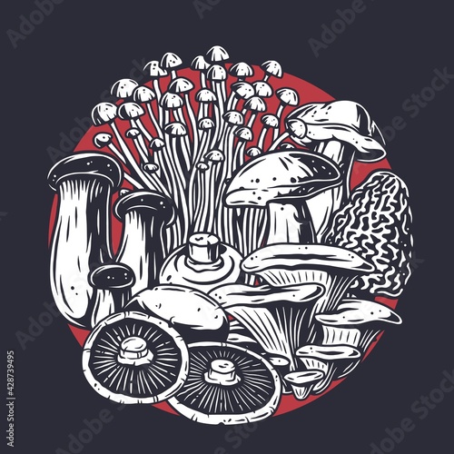 Mushroom picking. Mushrooms, fungus or fungi set
