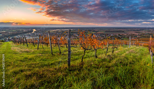 Tableau sur toile Tokaj, Hungary - The world famous Hungarian vineyards of Tokaj wine region on a
