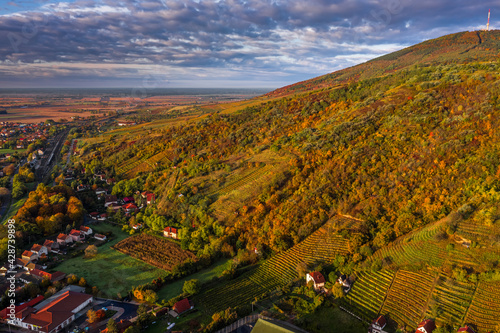 Tokaj, Hungary - Aerial view of the golden vineyards on the hills of wine region of Tokaj on a warm sunny autumn morning. Blue sky and clouds photo