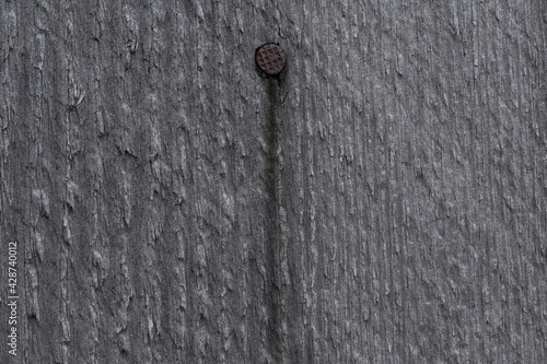 gray rough wooden board with rusty nail © romantiche