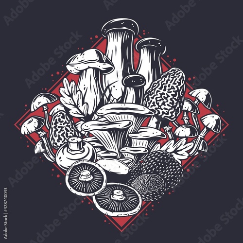 Mushroom picking. Mushrooms, fungus or fungi set