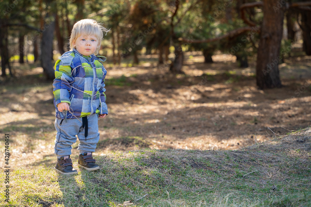 A one-year-old boy with blond hair in a spring forest looks thoughtfully into the camera. Boy in the forest enjoying the warmth of spring A one-year-old boy with blond hair in a spring forest looks thoughtfully into the camera. Boy in the forest enjoying the warmth of spring