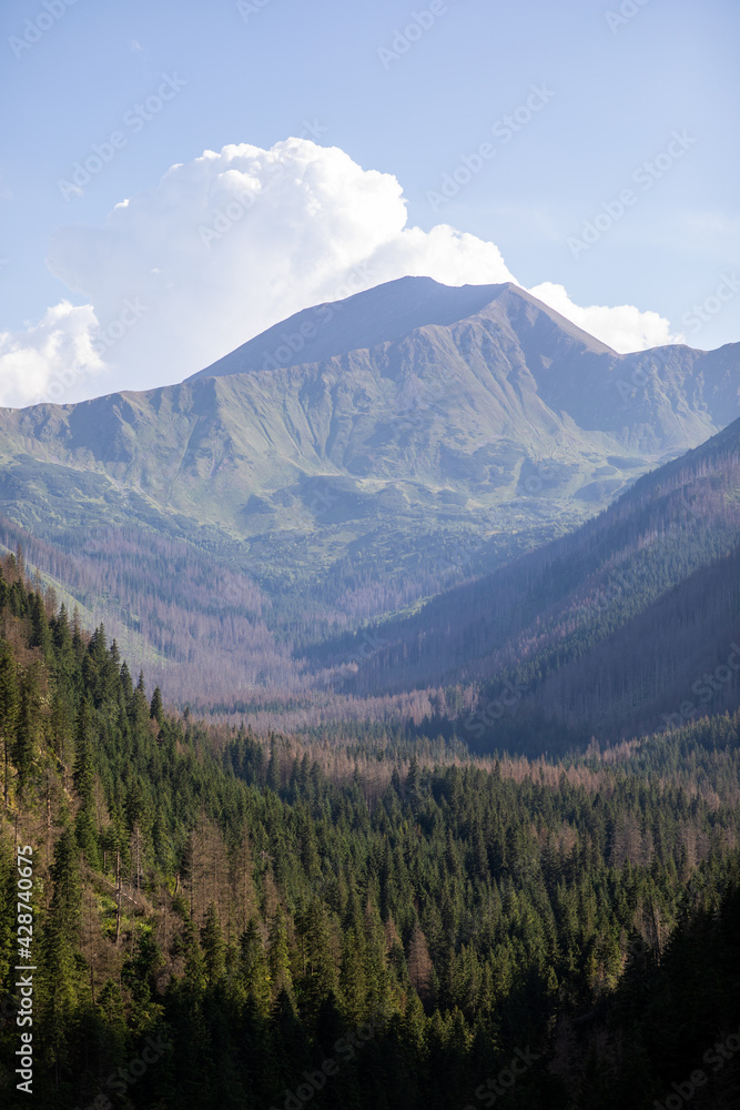 A view of the Tatra mountains in the summer A view of the Tatra mountains in the summer