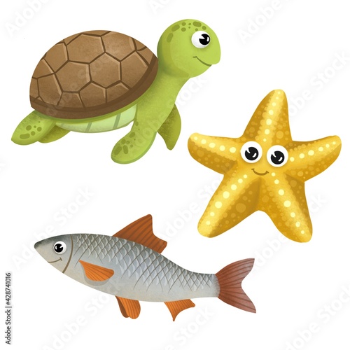 turtle, starfish and fish drawn in a cartoon style