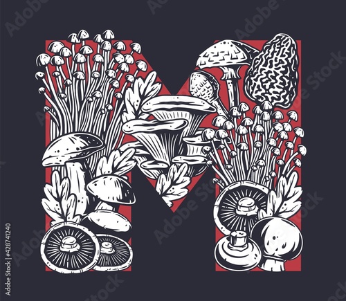 Mushroom picking. Mushrooms, fungus or fungi set