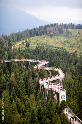 A walking bridge among the trees in the mountains