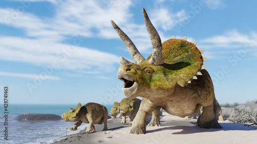Triceratops horridus group, herd of dinosaurs enjoying the beach © dottedyeti