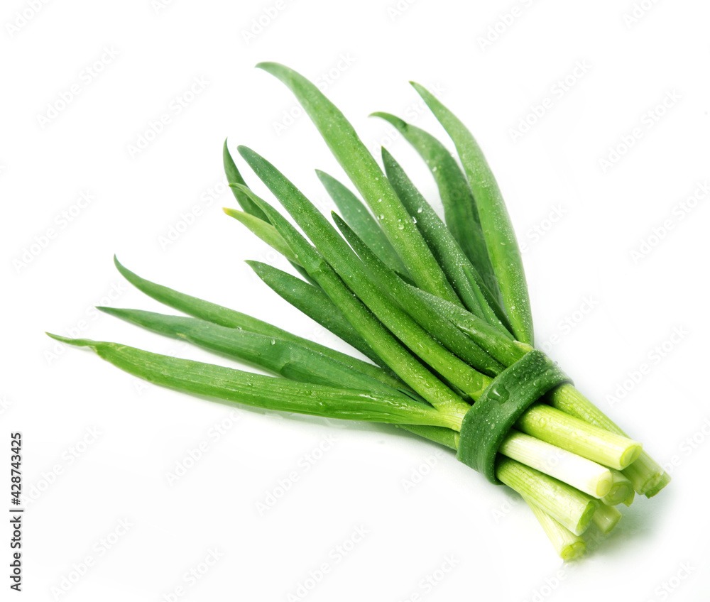 Fresh green onion isolated on white background. Fresh herbs. Fresh herbs. Condiments. Vitamins. Fresh green onion isolated on white background. Fresh herbs. Fresh herbs. Condiments. Vitamins.