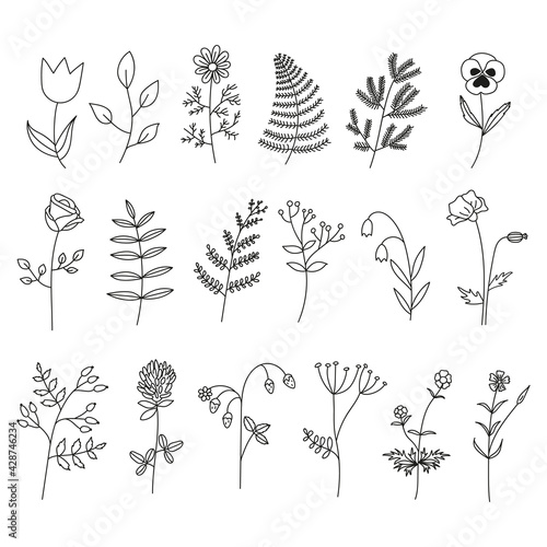 Collection of hand drawn flowers. Doodle floral elements vector set. Forest flora in line art style.