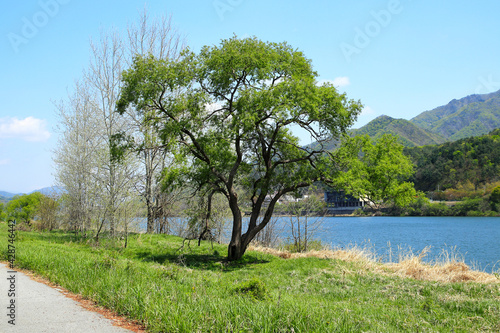 View of the Bukhan River side on a nice day, Daeseong-ri National Tourist Site, Gapyeong, South Korea