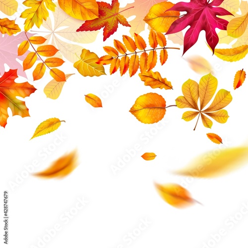 Autumn leaves falling. Yellow red and orange fall realistic foliage flying. Autumnal frame or border for banner, flyer and card template. Vector abstract background with copy space