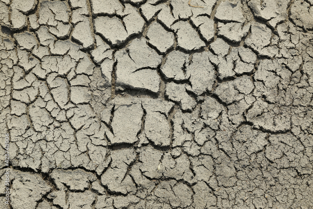 drought texture