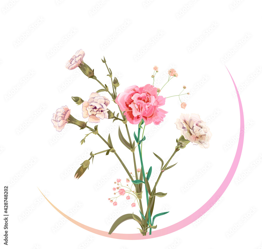 Round Mother's Day, Victory Day card with carnation: red, pink, flowers, twigs gypsophile, white background. Templates for design, vintage botanical illustration in watercolor style, vector