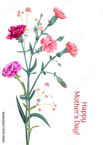 Vertical Mother's Day, Victory Day card with carnation: red, pink, flowers, twigs gypsophile, white background. Templates for design, vintage botanical illustration in watercolor style, vector