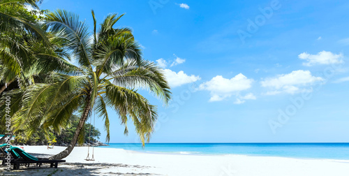 Summer with Palm trees as the tropical beach and Sunny day white sand background