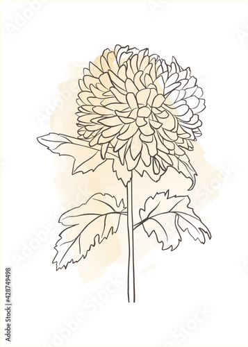 Wallpaper Mural Modern universal art poster. Abstract design. Wall art. Torontodigital.ca