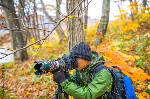 Photographer takes a photo in the autumn forest in Yamagata Japan