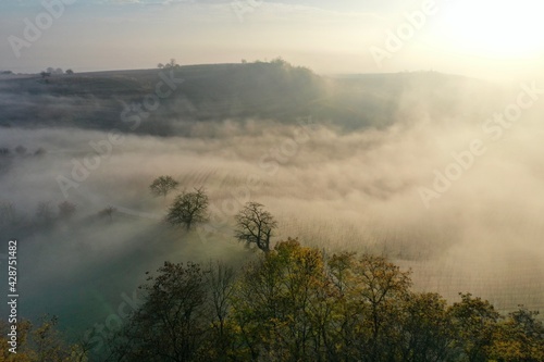 paysage dans la brume 