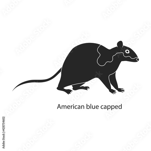 Mouse animal vector black icon. Vector illustration rat on white background. Isolated black illustration icon of mouse and rat.