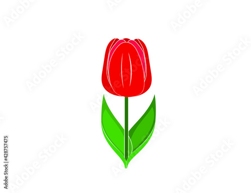 Flat red Tulip icon. 8 March. Women's spring day.