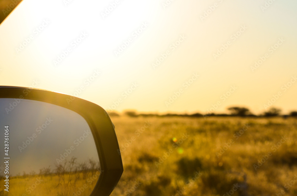 Car side mirror on safari - obrazy, fototapety, plakaty 