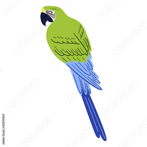 Vector cartoon tropical illustration with green macaw parrot.