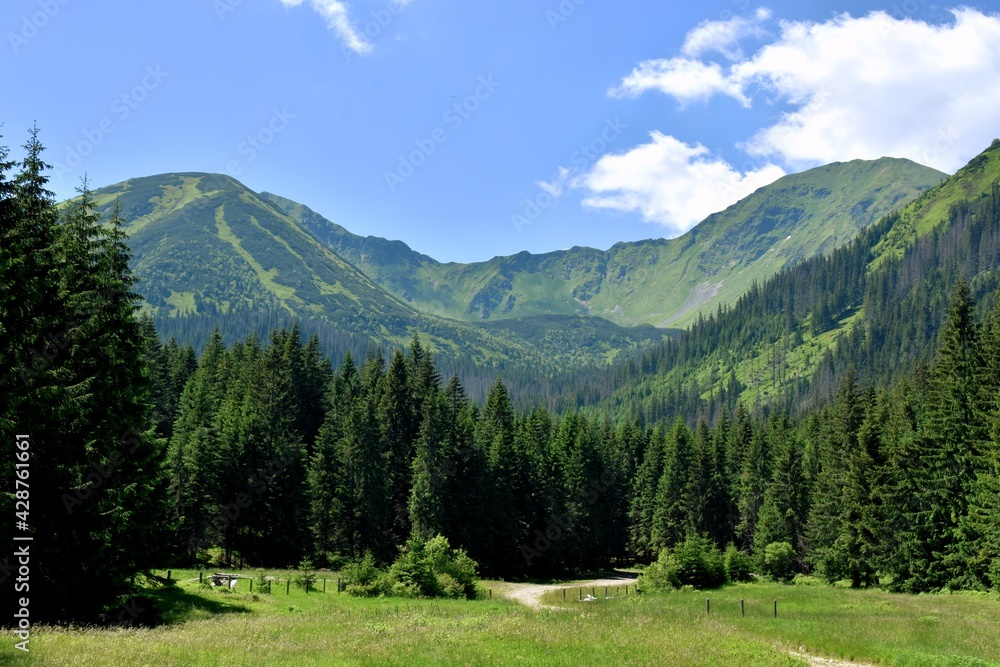 Szlak Papieski, Tatry Zachodnie, TPN, góry, lato
