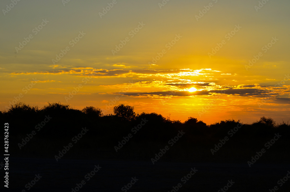 Africa sunrise over trees