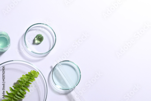 Organic cosmetic product, natural ingredients and laboratory glassware on white background, top view. Space for text