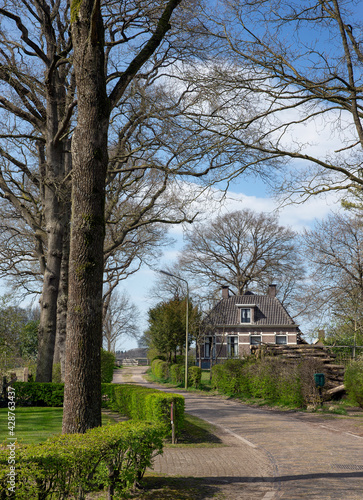 Old traditional farmhouses at dirtroad in the village of Uffelte Drenthe Netherlands.  © A