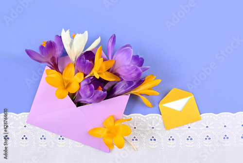 crocuses in an envelope