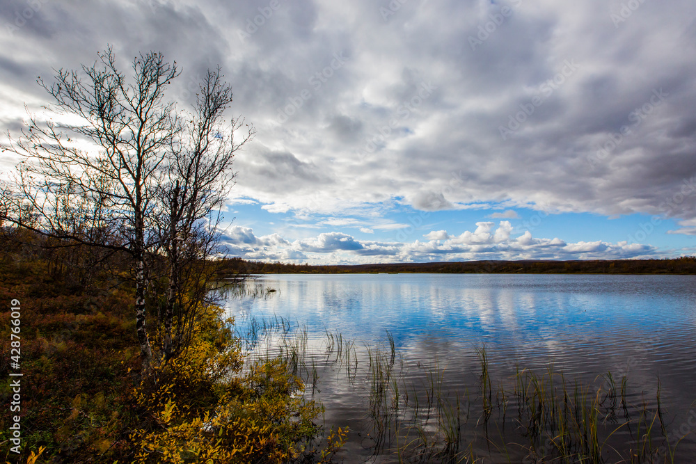 Fototapeta premium Autumn landscape in tundra, northern Norway. Europe