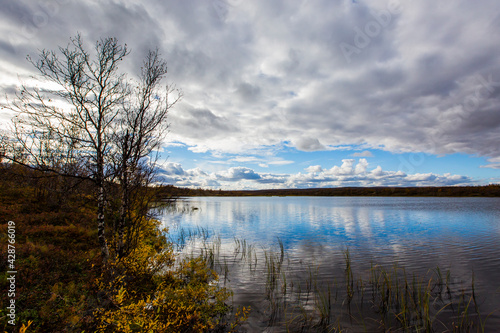 Autumn landscape in tundra  northern Norway. Europe