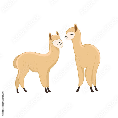 Couple of wild animals. Cute alpaca character. Vector illustration.