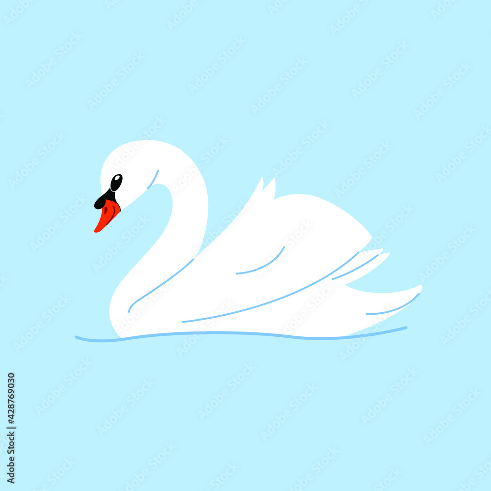 Fototapeta premium Cute swan - cartoon bird character. Vector illustration in flat style isolated on gray background.