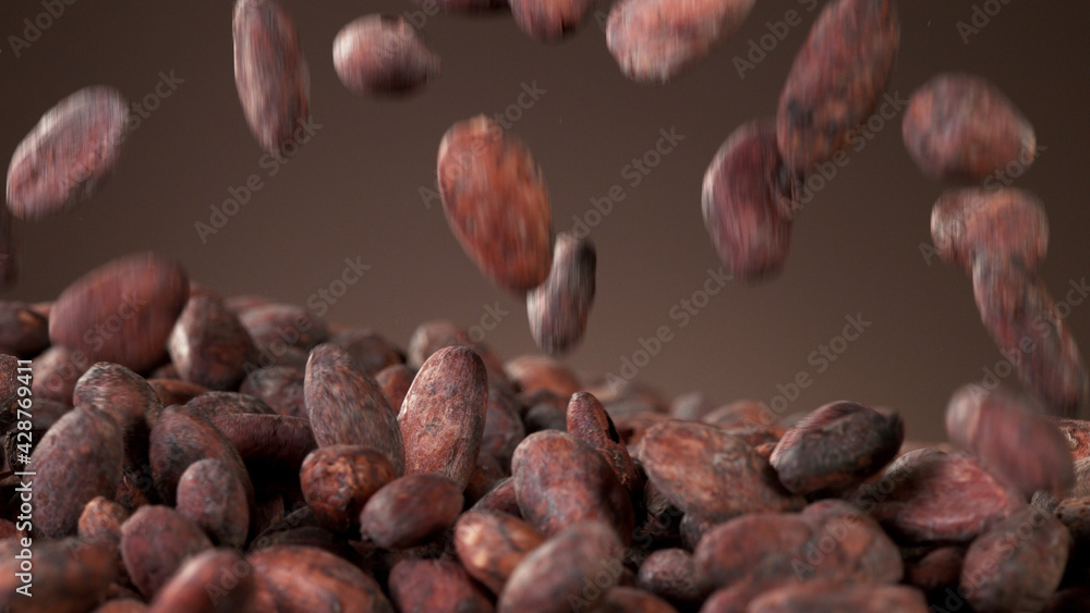 Falling roasted cocoa beans Falling roasted cocoa beans