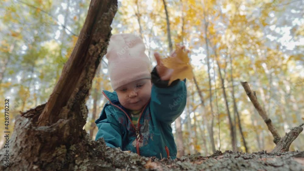 Lovely Little Child Plays with Dry Yellow Leaf in Autumn Forest. Baby Walking in the Park on a Beautiful Sunny and Warm Autumn Day Lovely Little Child Plays with Dry Yellow Leaf in Autumn Forest. Baby Walking in the Park on a Beautiful Sunny and Warm Autumn Day