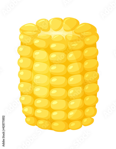 Peeled corn cob half isolated on white background