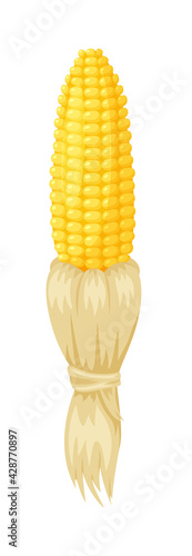 Cartoon corn cob peeled from dry husk isolated