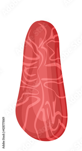 Cartoon raw meat pork loin isolated on white