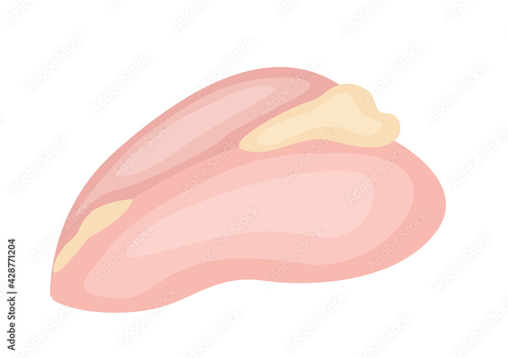 Cartoon raw chicken fillet isolated on white background Cartoon raw chicken fillet isolated on white background