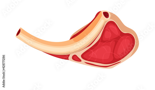 Fresh bone steak raw meat isolated on white background